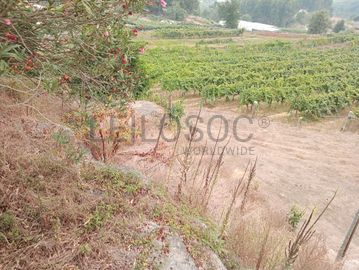 Quinta com 1,3 hectares · Penafiel