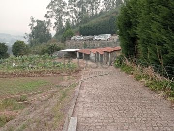 Quinta com 1,3 hectares · Penafiel
