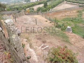 Quinta com 1,3 hectares · Penafiel