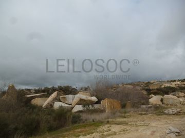 Terreno com +4 hectares · Figueira de Castelo Rodrigo