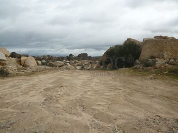 Terreno com +4 hectares · Figueira de Castelo Rodrigo