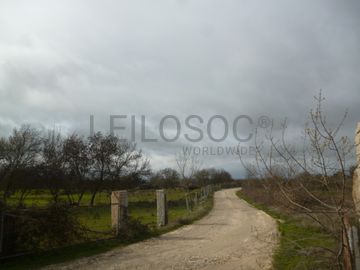Terreno com +29 hectares · Figueira de Castelo Rodrigo