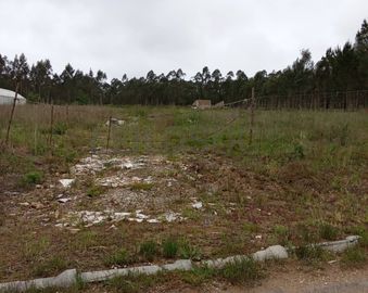 Terreno com 11.245 m² · Oliveira do Bairro