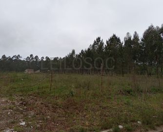 Terreno com 11.245 m² · Oliveira do Bairro