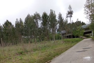 Terreno com 11.245 m² · Oliveira do Bairro