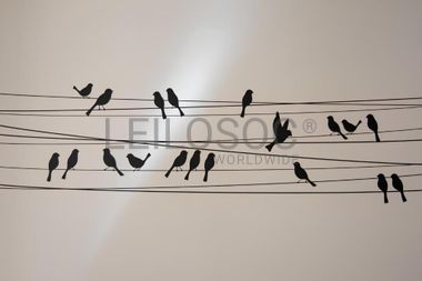 Apartamento T2 · Santa Maria Maior, Lisboa