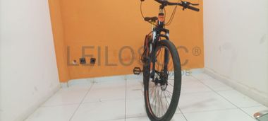 Bicicleta Lucky Tiger 