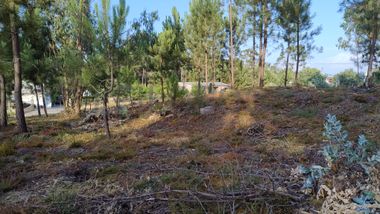 Terreno para Construção · Nossa Senhora da Piedade, Ourém