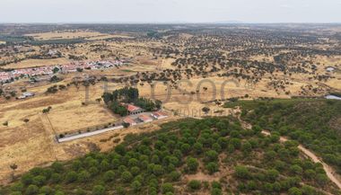 Herdade do Topo · "Monte da Janeila" · 210 hectares · Serpa