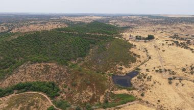 Herdade do Topo · "Monte da Janeila" · 210 hectares · Serpa