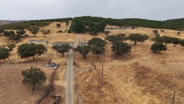 Herdade do Topo · "Monte da Janeila" · 210 hectares · Serpa