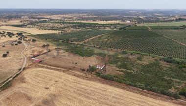 Herdade do Topo · "Monte Junqueira" · 7,4 hectares · Serpa 