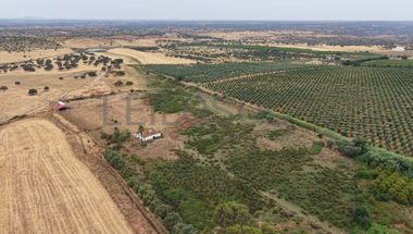 Herdade do Topo · "Monte Junqueira" · 7,4 hectares · Serpa 