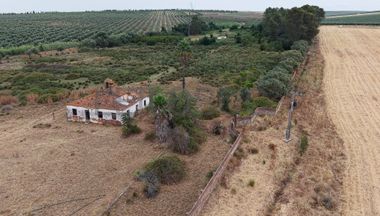 Herdade do Topo · "Monte Junqueira" · 7,4 hectares · Serpa 