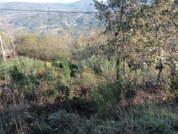 Terrenos e Meações de Terrenos · Carvalho de Rei, Amarante