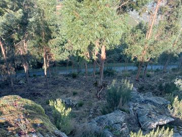 Terrenos e Meações de Terrenos · Carvalho de Rei, Amarante