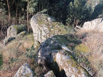 Terrenos e Meações de Terrenos · Carvalho de Rei, Amarante