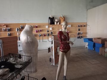 Stock