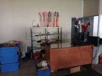 Stock