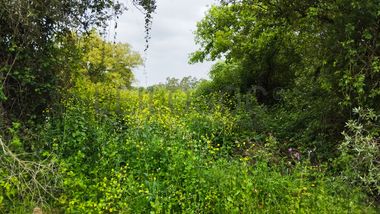 Terreno com 1.880,00 m² · Pedreiras, Porto de Mós