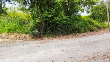 Terreno com 1.880,00 m² · Pedreiras, Porto de Mós