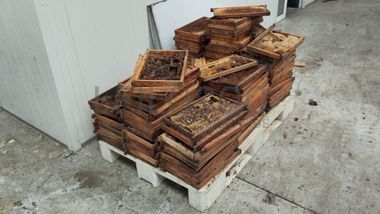 Equipamentos para o Setor de Apicultura