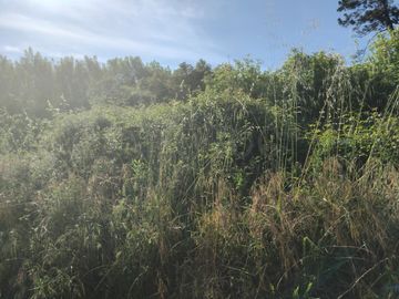 Terrenos · Águeda