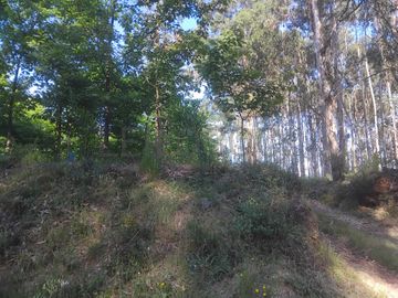 Terreno com 750 m² · Águeda