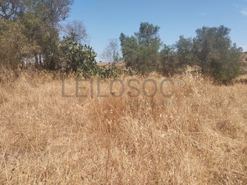Proporção de 1/6 de Terreno com 750 m² · Mértola