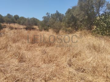 Proporção de 1/6 de Terreno com 750 m² · Mértola