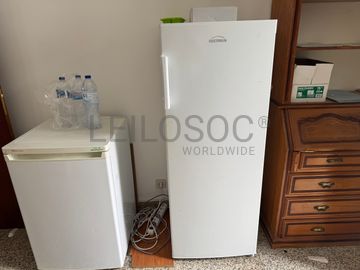 Arcas Frigoríficas Verticais