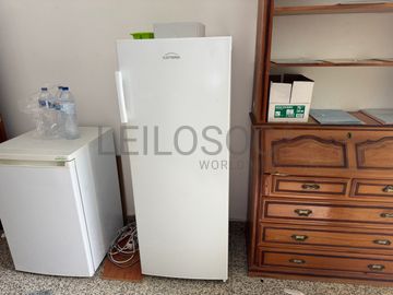 Arcas Frigoríficas Verticais