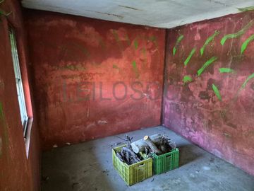 Moradia V4 · Vila de Cucujães, Oliveira de Azeméis