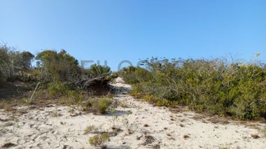 Infraestruturas em terreno com 5 hectares