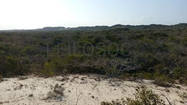 Infraestruturas em terreno com 5 hectares