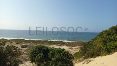 Infraestruturas em terreno com 5 hectares