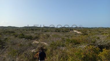 Infraestruturas em terreno com 5 hectares