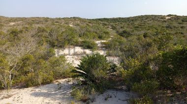 Infraestruturas em terreno com 5 hectares