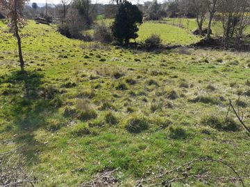 Quinhão Hereditário · Pena Verde, Aguiar da Beira