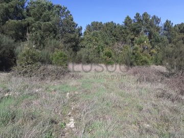 Quinhão Hereditário · Pena Verde, Aguiar da Beira