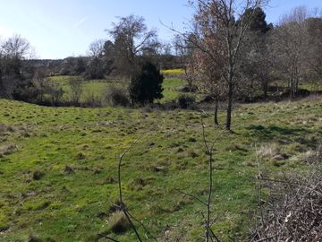 Quinhão Hereditário · Pena Verde, Aguiar da Beira