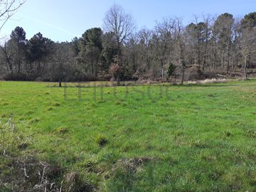 Quinhão Hereditário · Pena Verde, Aguiar da Beira