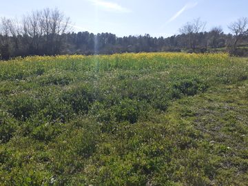 Quinhão Hereditário · Pena Verde, Aguiar da Beira