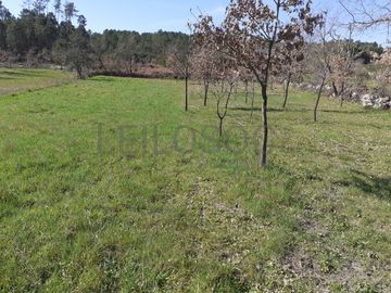 Quinhão Hereditário · Pena Verde, Aguiar da Beira