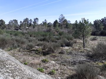 Quinhão Hereditário · Pena Verde, Aguiar da Beira