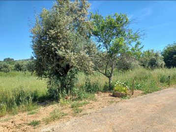 Terreno Rústico com 12.880 m² · Ferreira do Zêzere