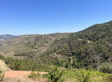 Terreno com 49.470 m² · Vila Seca, Viseu