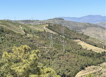 Terreno com 49.470 m² · Vila Seca, Viseu