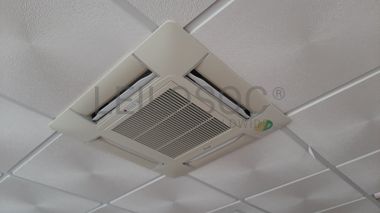 Loja · Torres Novas, Santarém