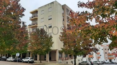 Loja · Torres Novas, Santarém